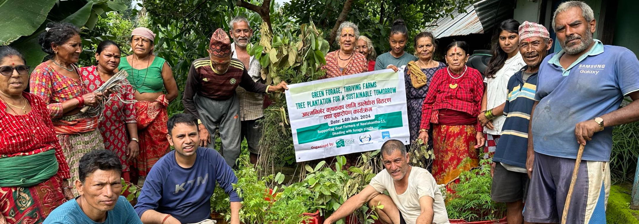 Tree Plantation for a Sustainable Tomorrow